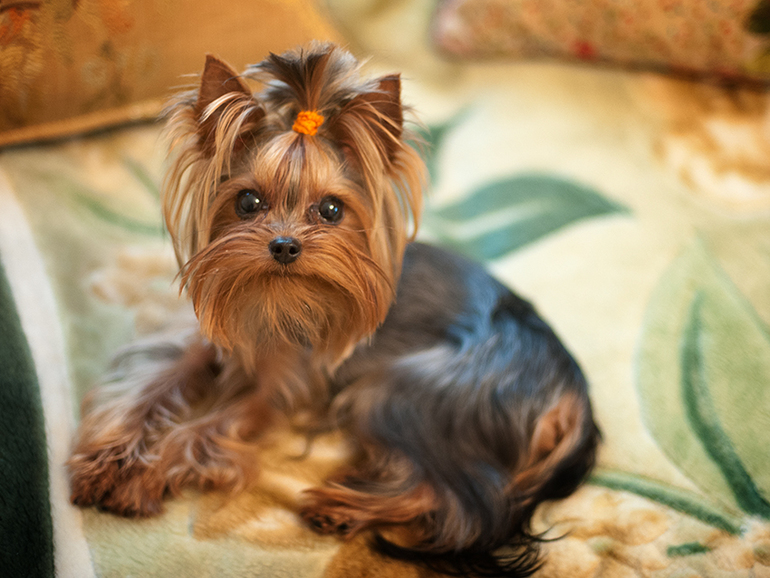 Наша крошка