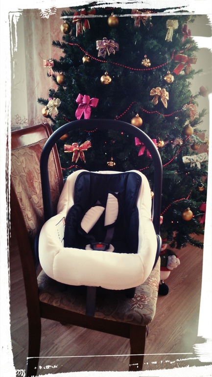 Наш транспорт DPG Carino 3в 1