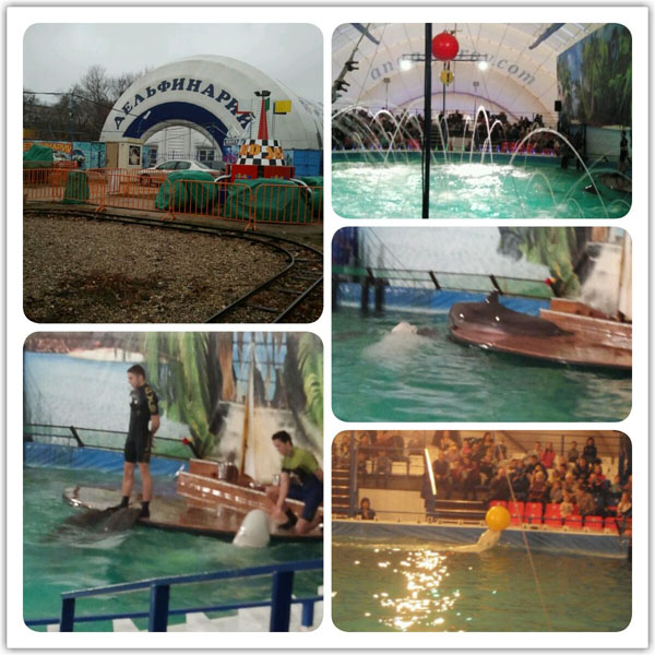 Дельфинарий на ВВЦ. (17.11.13)