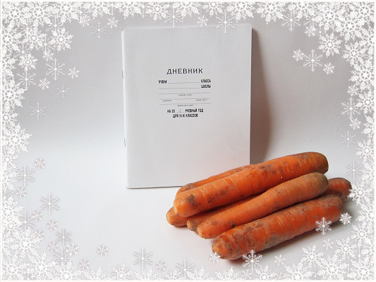 Новогодняя викторина от MY-SHOP