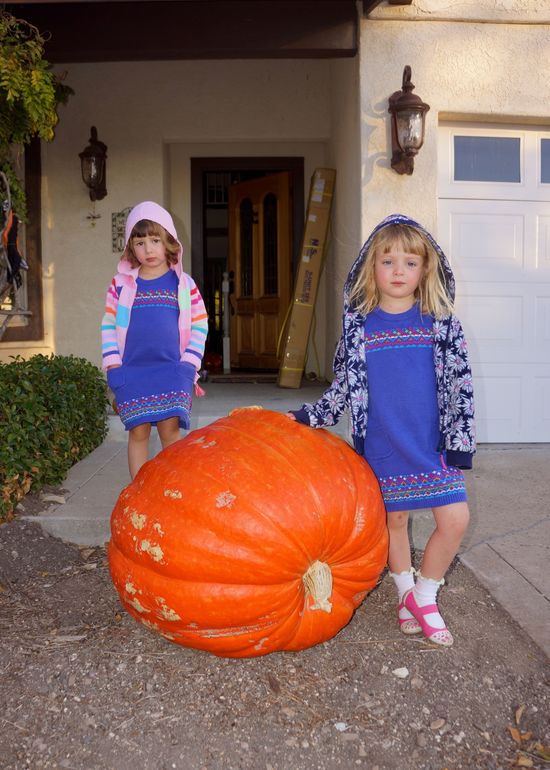 Прививаем любовь к спорту.