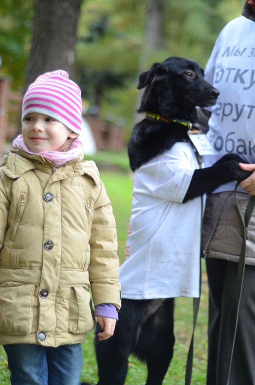 Выставка-ярмарка брошенных животных в парке им.Горького