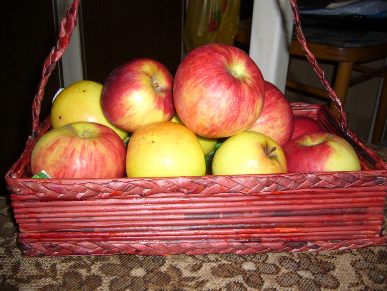 Золотая Осень