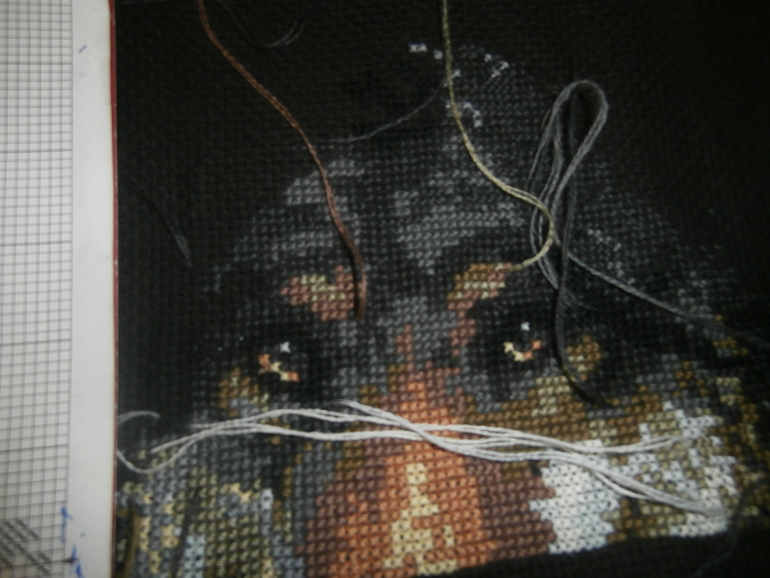 Вторая работа!