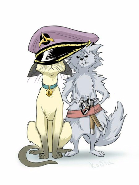 Ольга Громыко - "Космоолухи: до, между, после". — 15 ответов на Babyblog