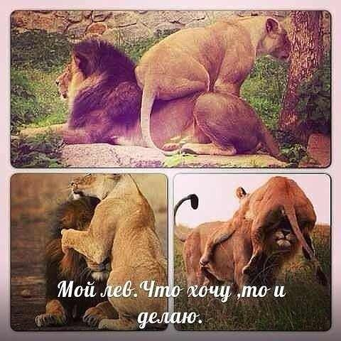 Подборочка:)