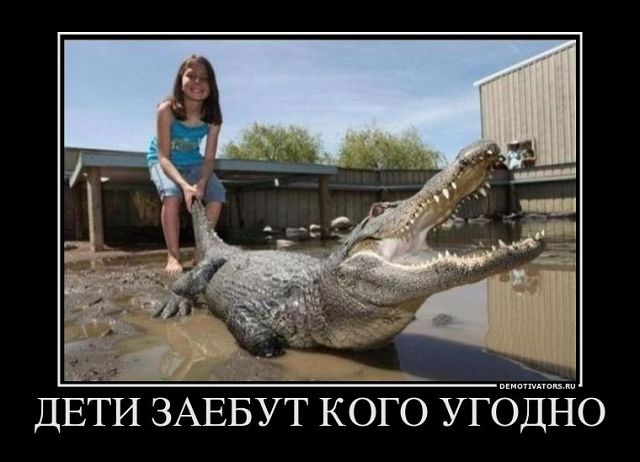 50b09e57755cd0b3bea5e5e2e0e13570.jpg