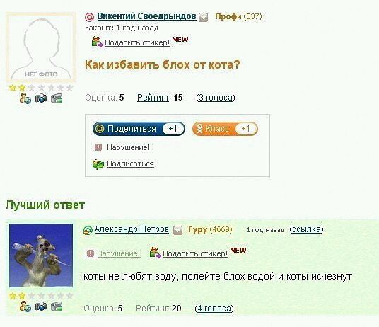 Доза позитива и жизненных данностей.