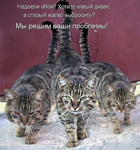 Доза позитива и жизненных данностей.