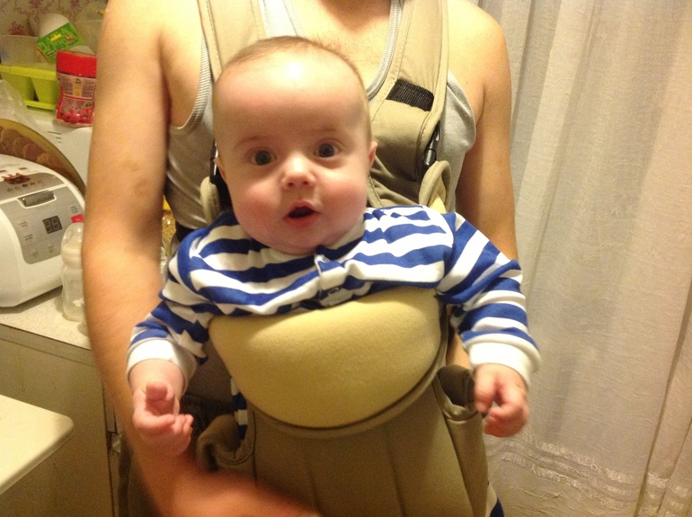 Наш примерный распорядок дня.Я и мои цыплята