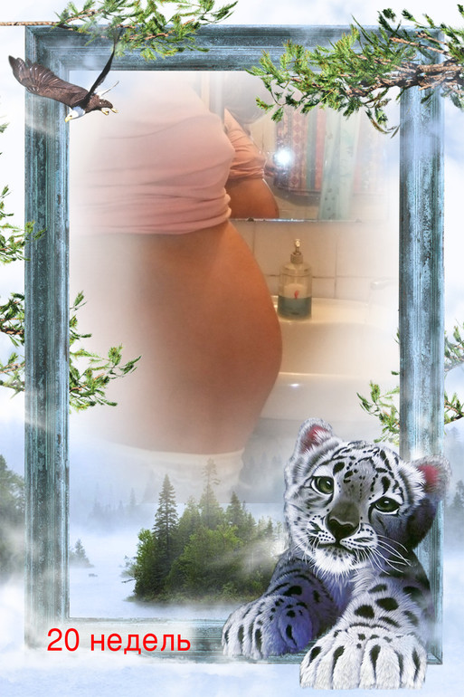 26-ая неделя)))