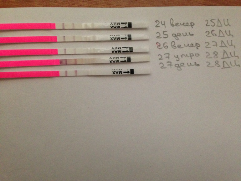 мой первый цикл после родов.это О???