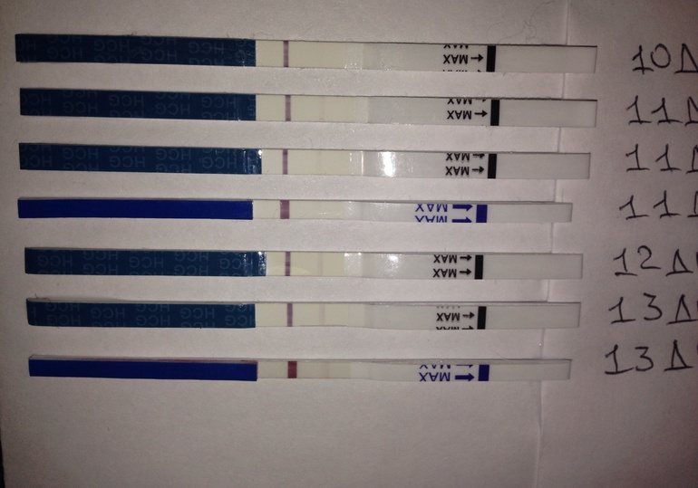 ad3da87c0e421835bf64310a5bef747a.jpg