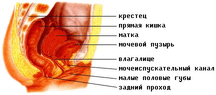 542de33eb81567b5d1d22eded013db53.jpg