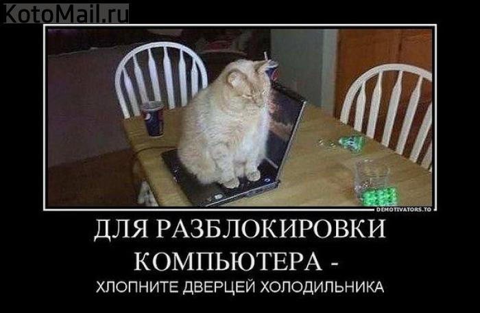 6a49d5997e77c467e8b4ea868793f98c.jpg