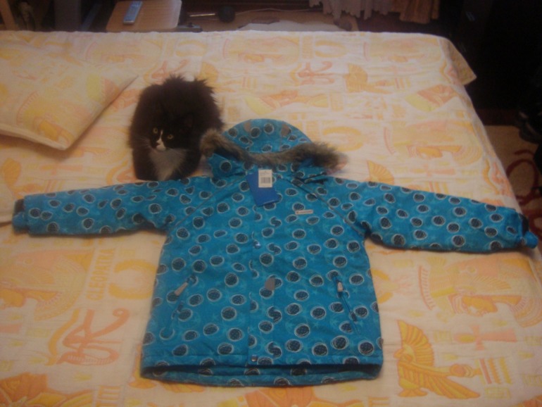 Джонатан Хвастики