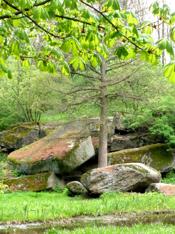 Контрольное задание № 5. "Корректируем тона при помощи уровней"