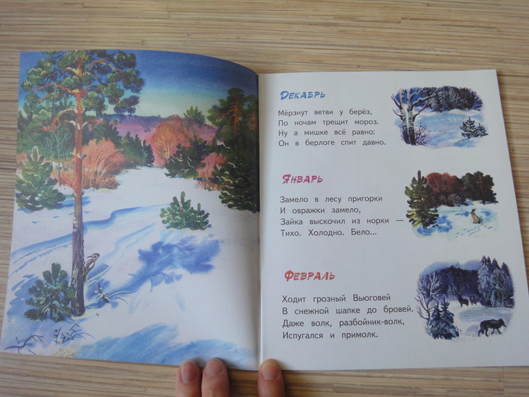 Наши зимне-новогодние книги