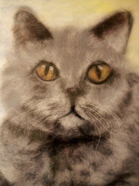 О чем мечтают кошки?