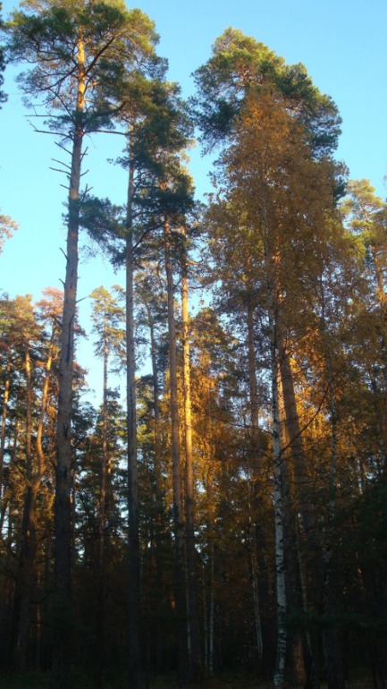 Каникулы в Мексике)))