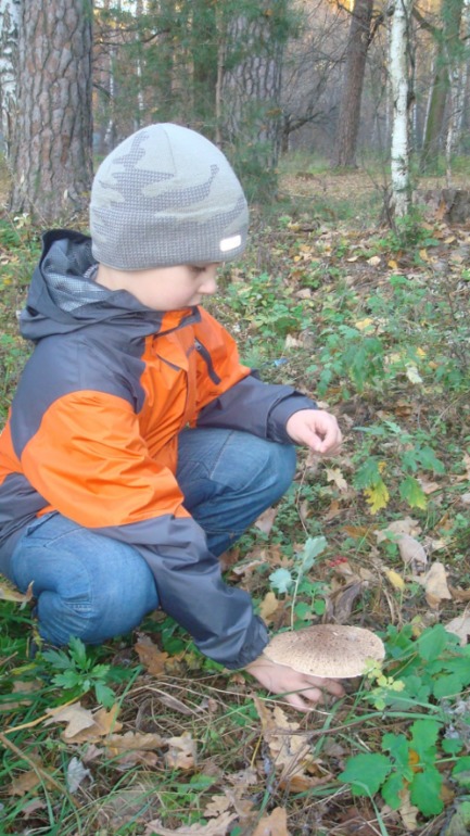 Каникулы в Мексике)))