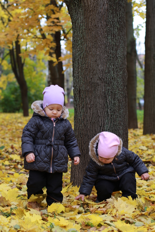 Золотая осень