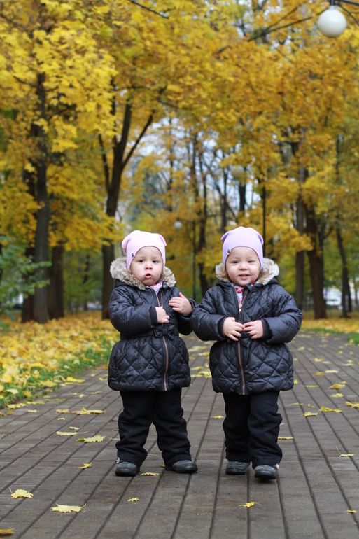 Золотая осень