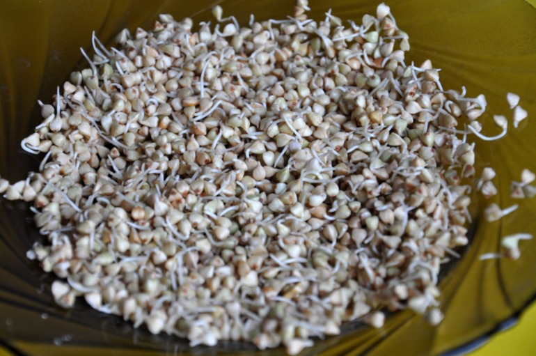 питание часть 1