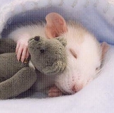 с кем я удачно поменялась)))