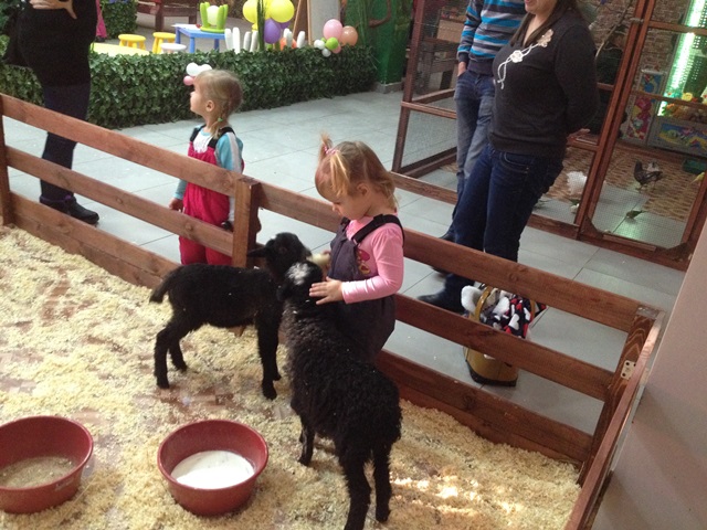 Контактный зоопарк