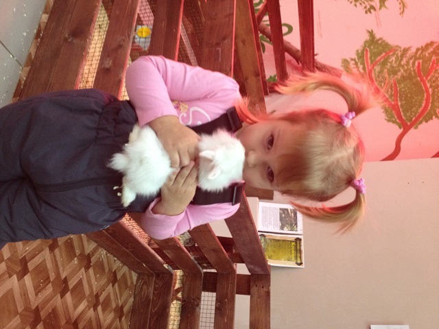 Контактный зоопарк 