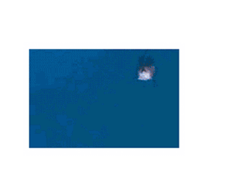 8d0dfdda3909070f9d8916046b923806.gif