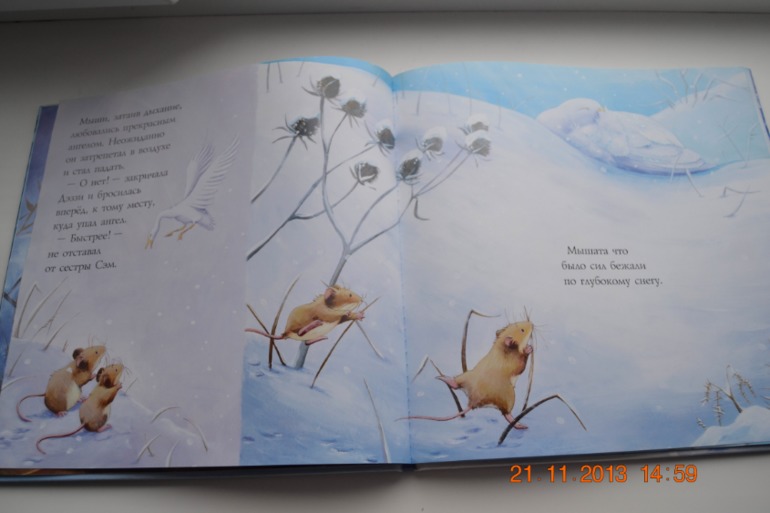 А вот и наше пополнение. Часть 2.