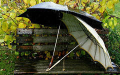 Взлет 68 день 2