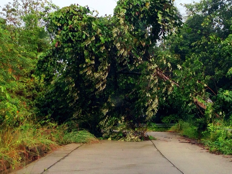 Дождиииии)))))