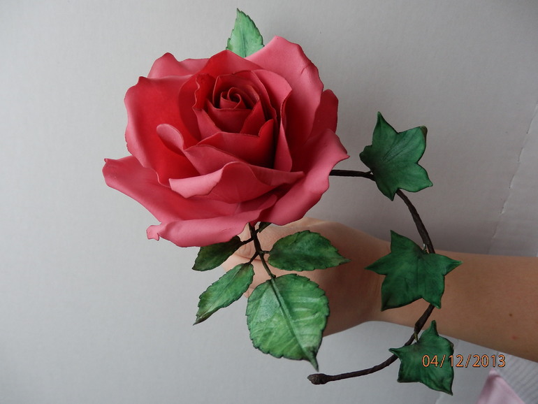 Вот и мои цветочки!!!