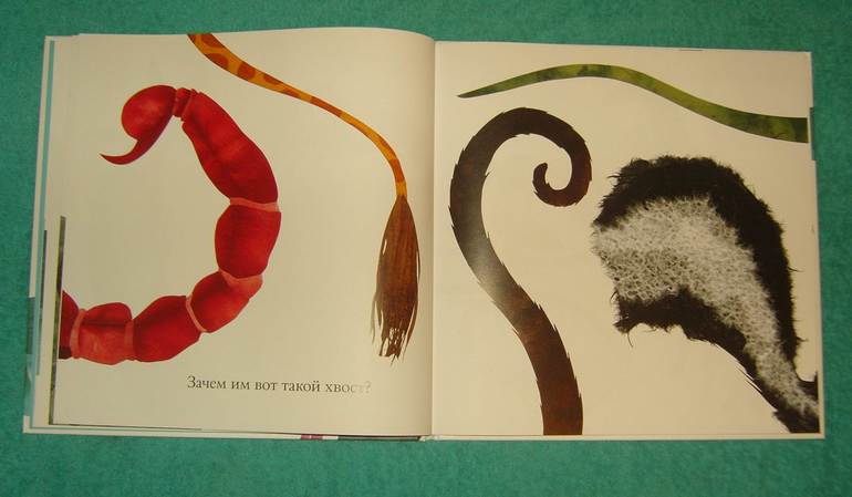 Про хвосты,носы и уши.Интересные факты.
