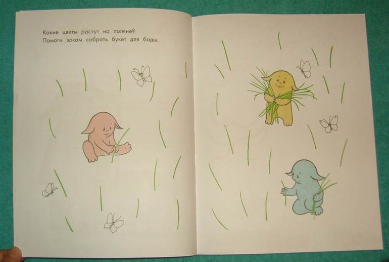 Зоки и Бада.Большая книга для рисования.