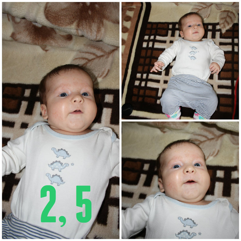 Мишаня - 2 1/2 месяца %)