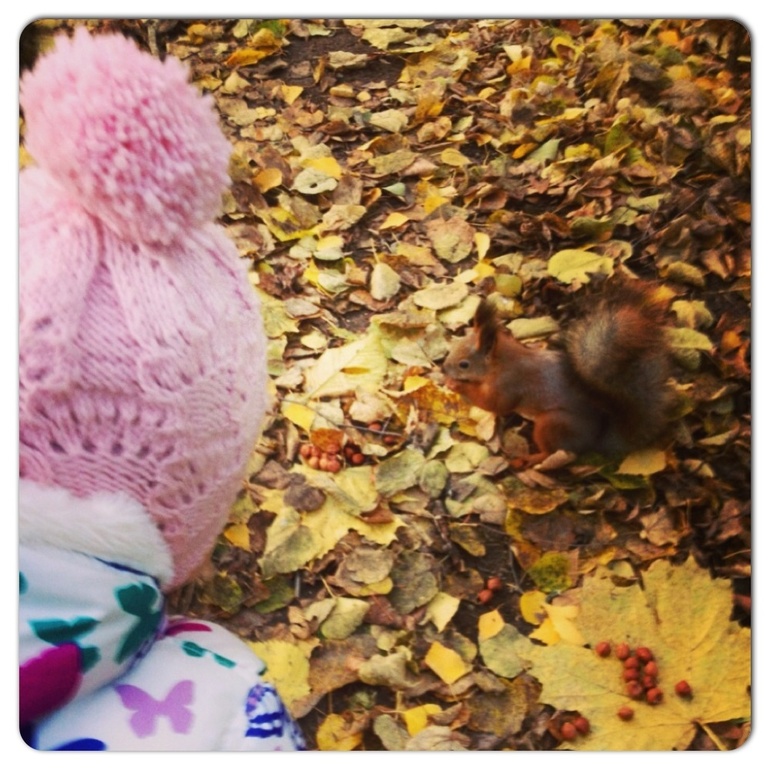 Осенний компот :)