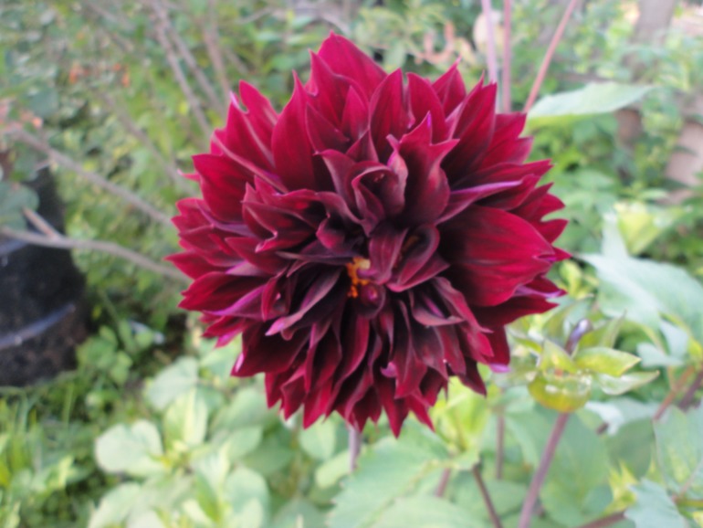 Похвастушки))))) Было и стало!