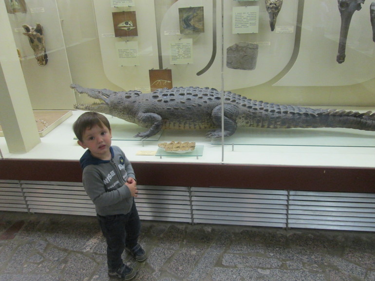 ТН динозавры