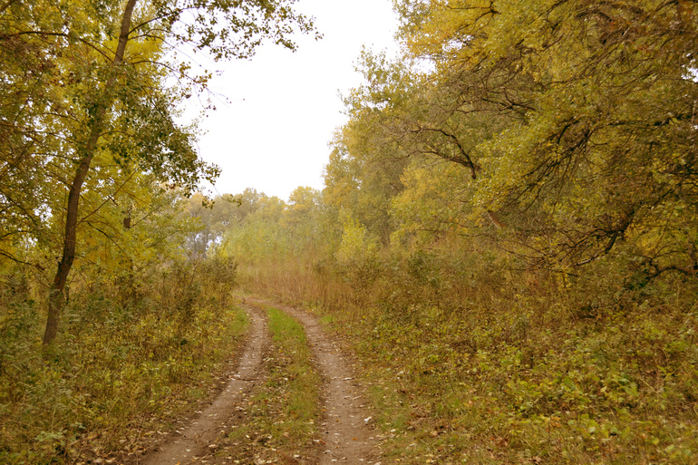 Контрольное задание № 6. Три способа цветокоррекций фотографий