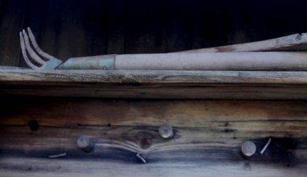 Заливное из листьев и прочая осень...