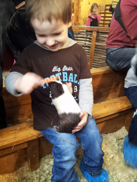 ВВЦ на ВДНХ