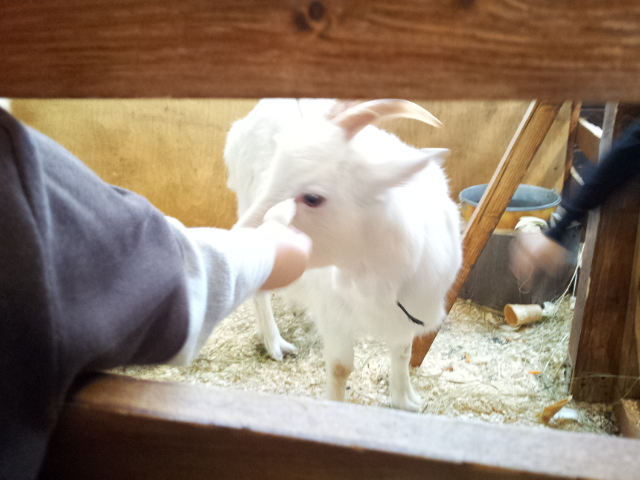 ВВЦ на ВДНХ