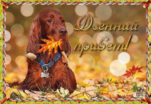 Наши именинницы 1 октября!