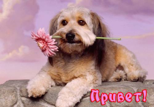 Наша именинница 30 сентября!