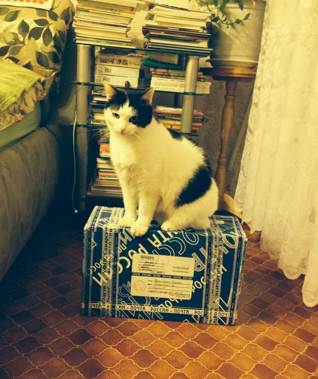 Праздник к нам приходит...праздник к нам приходит