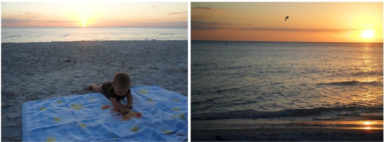 Флоридский Санкт-Петербург и Сарасота с ребенком. Отчет.